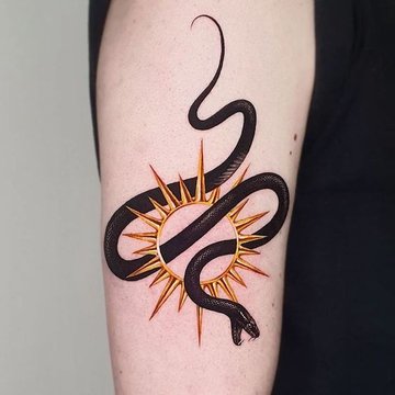 Змея (10)
