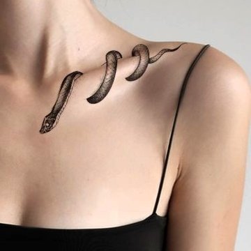 Змея (24)
