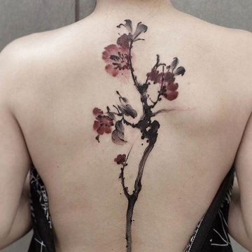 ryksreate (18)