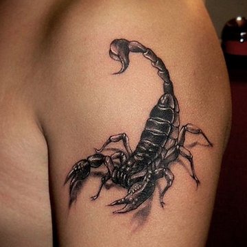 скорпион (16)