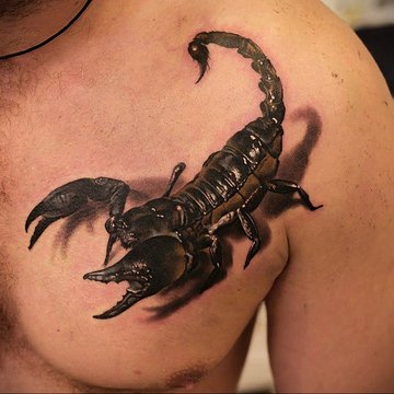 скорпион (18)