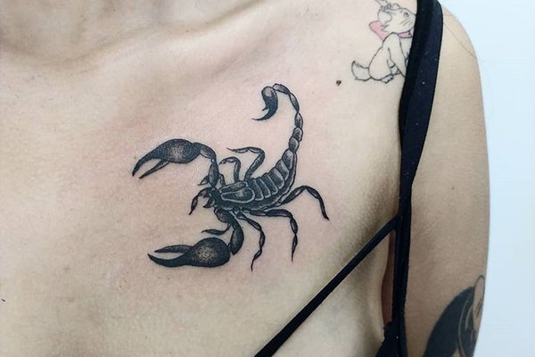 скорпион (21)